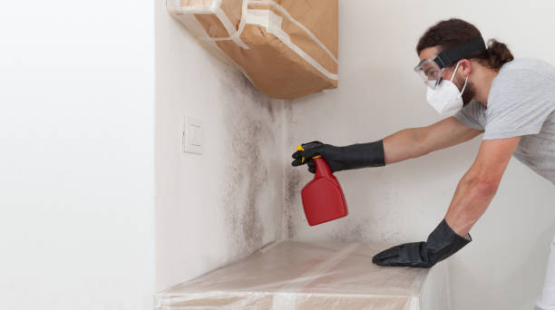 Professional Crawl Space Mold Removal technician working in Englewood, NJ